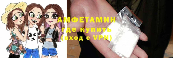 индика Пестово