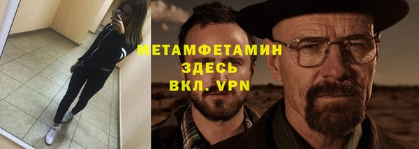 индика Пестово