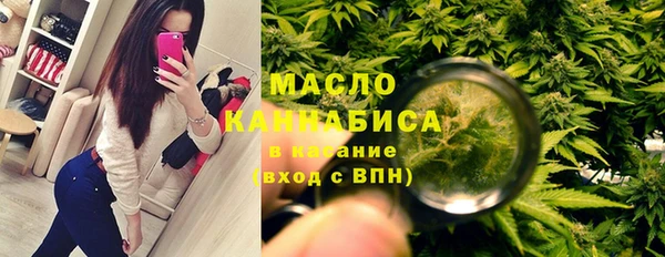 индика Пестово