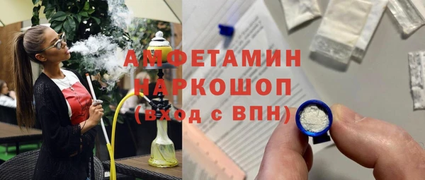 индика Пестово