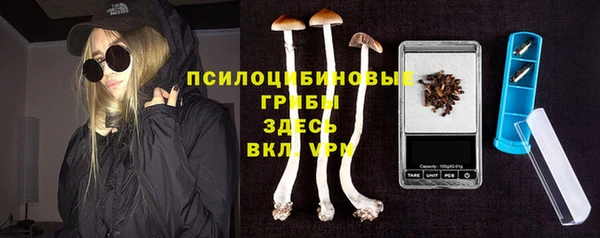гашик Балахна