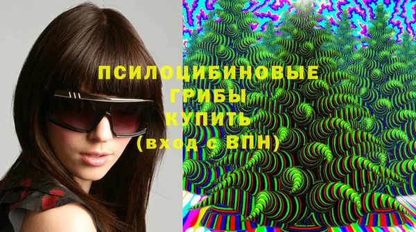 марки lsd Переславль-Залесский