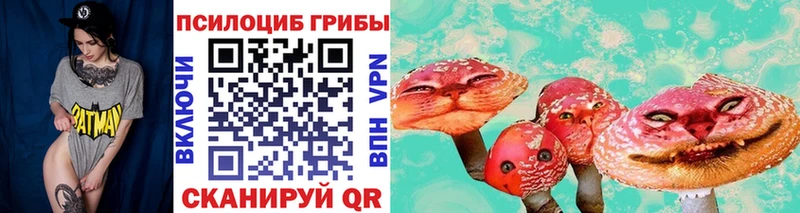 купить закладку  Новая Ладога  Галлюциногенные грибы мухоморы 