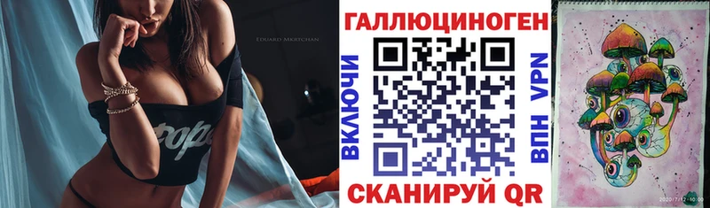 Псилоцибиновые грибы Cubensis Новая Ладога
